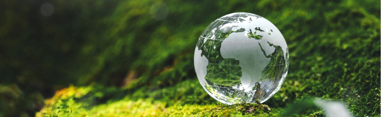 bola del mundo de cristal apoyada en suelo de hierba